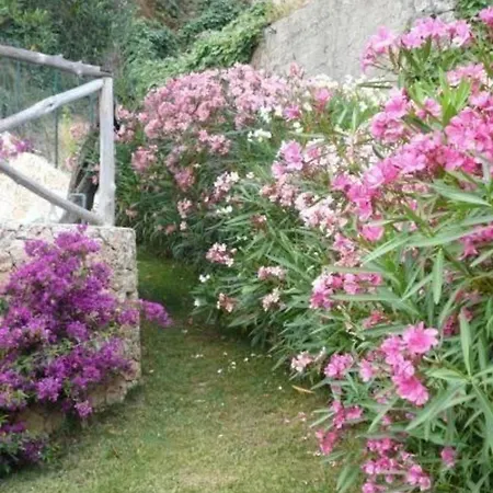 In Mit Grossem Garten Appartamento *